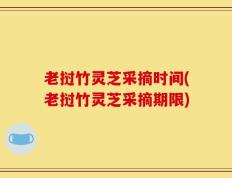 老挝竹灵芝采摘时间(老挝竹灵芝采摘期限)