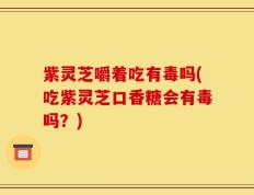 紫灵芝嚼着吃有毒吗(吃紫灵芝口香糖会有毒吗？)