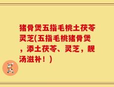 猪骨煲五指毛桃土茯苓灵芝(五指毛桃猪骨煲，添土茯苓、灵芝，靓汤滋补！)