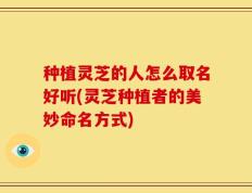 种植灵芝的人怎么取名好听(灵芝种植者的美妙命名方式)