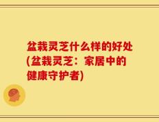 盆栽灵芝什么样的好处(盆栽灵芝：家居中的健康守护者)