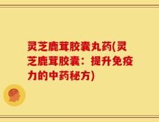 灵芝鹿茸胶囊丸药(灵芝鹿茸胶囊：提升免疫力的中药秘方)
