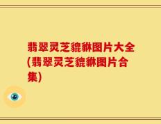 翡翠灵芝貔貅图片大全(翡翠灵芝貔貅图片合集)