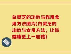 白灵芝的功效与作用食用方法图片(白灵芝的功效与食用方法，让你健康更上一层楼)