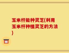 玉米杆能种灵芝(利用玉米杆种植灵芝的方法)