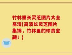 竹林里长灵芝图片大全高清(高清长灵芝图片集锦，竹林里的珍贵宝藏！)