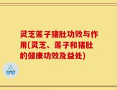 灵芝莲子猪肚功效与作用(灵芝、莲子和猪肚的健康功效及益处)