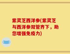 紫灵芝西洋参(紫灵芝与西洋参双管齐下，助您增强免疫力)