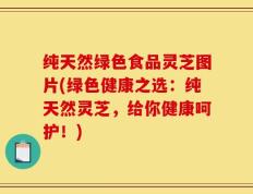 纯天然绿色食品灵芝图片(绿色健康之选：纯天然灵芝，给你健康呵护！)