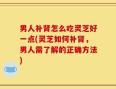 男人补肾怎么吃灵芝好一点(灵芝如何补肾，男人需了解的正确方法)
