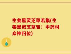 生姜黑灵芝草若集(生姜黑灵芝草若：中药材众神归位)