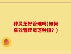 种灵芝好管理吗(如何高效管理灵芝种植？)