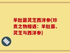 羊肚菌灵芝西洋参(珍贵之物相遇：羊肚菌、灵芝与西洋参)