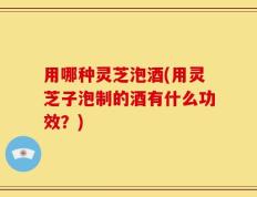 用哪种灵芝泡酒(用灵芝子泡制的酒有什么功效？)