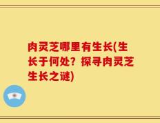 肉灵芝哪里有生长(生长于何处？探寻肉灵芝生长之谜)