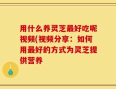 用什么养灵芝最好吃呢视频(视频分享：如何用最好的方式为灵芝提供营养
