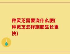 种灵芝需要浇什么肥(种灵芝怎样施肥生长更快)