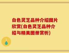 白色灵芝品种介绍图片欣赏(白色灵芝品种介绍与精美图册赏析)
