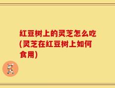 红豆树上的灵芝怎么吃(灵芝在红豆树上如何食用)
