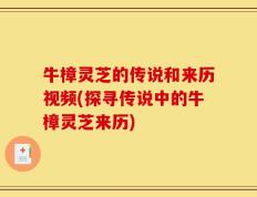 牛樟灵芝的传说和来历视频(探寻传说中的牛樟灵芝来历)