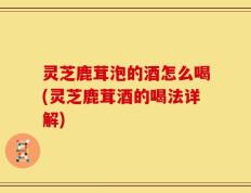 灵芝鹿茸泡的酒怎么喝(灵芝鹿茸酒的喝法详解)