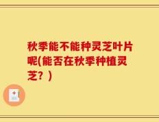 秋季能不能种灵芝叶片呢(能否在秋季种植灵芝？)