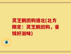 灵芝鹅团购道北(北方限定：灵芝鹅团购，省钱好滋味)