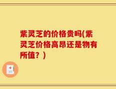 紫灵芝的价格贵吗(紫灵芝价格高昂还是物有所值？)