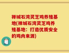禅城石湾灵芝鸡养殖基地(禅城石湾灵芝鸡养殖基地：打造优质安全的鸡肉来源)