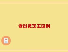 老挝灵芝王区别