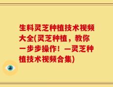 生料灵芝种植技术视频大全(灵芝种植，教你一步步操作！—灵芝种植技术视频合集)