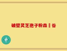 破壁灵芝孢子粉森湶谷