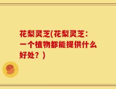 花梨灵芝(花梨灵芝：一个植物都能提供什么好处？)