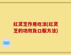 红灵芝作用吃法(红灵芝的功效及口服方法)
