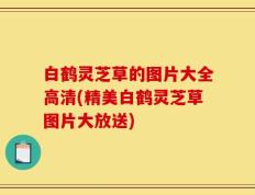白鹤灵芝草的图片大全高清(精美白鹤灵芝草图片大放送)