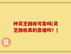 种灵芝回收可靠吗(灵芝回收真的靠谱吗？)