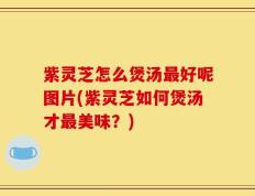 紫灵芝怎么煲汤最好呢图片(紫灵芝如何煲汤才最美味？)