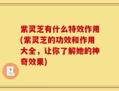 紫灵芝有什么特效作用(紫灵芝的功效和作用大全，让你了解她的神奇效果)
