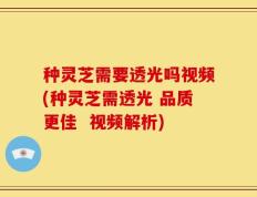 种灵芝需要透光吗视频(种灵芝需透光 品质更佳  视频解析)