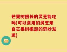 芒果树根长的灵芝能吃吗(可以食用的灵芝来自芒果树根部的奇妙发现)