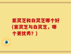 紫灵芝和白灵芝哪个好(紫灵芝与白灵芝，哪个更优秀？)