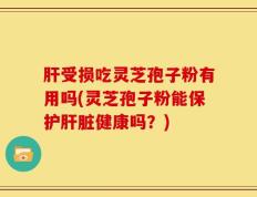 肝受损吃灵芝孢子粉有用吗(灵芝孢子粉能保护肝脏健康吗？)