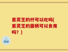 紫灵芝的杆可以吃吗(紫灵芝的菌柄可以食用吗？)