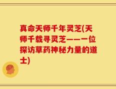 真命天师千年灵芝(天师千载寻灵芝——一位探访草药神秘力量的道士)