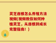 灵芝连根怎么养殖方法视频(视频教你如何种植灵芝，从连根到成长完整指南！)