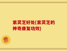 紫灵芝好处(紫灵芝的神奇康复功效)
