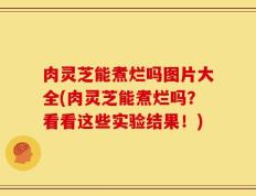 肉灵芝能煮烂吗图片大全(肉灵芝能煮烂吗？看看这些实验结果！)