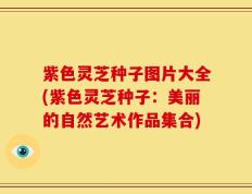 紫色灵芝种子图片大全(紫色灵芝种子：美丽的自然艺术作品集合)