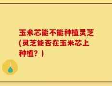 玉米芯能不能种植灵芝(灵芝能否在玉米芯上种植？)
