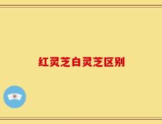 红灵芝白灵芝区别